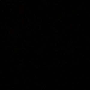 Meet your Posher, Imani